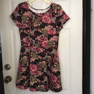 Floral Forever 21 Skater Dress Large